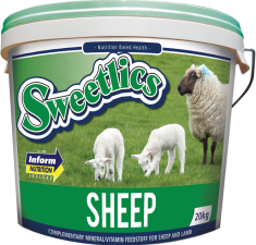 Sweetlics Sheep