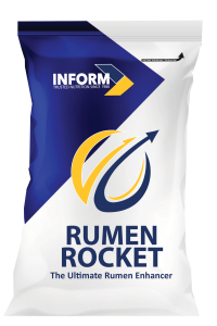 Rumen Rocket final